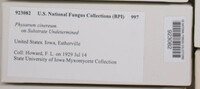 Image Associated With the Occurence